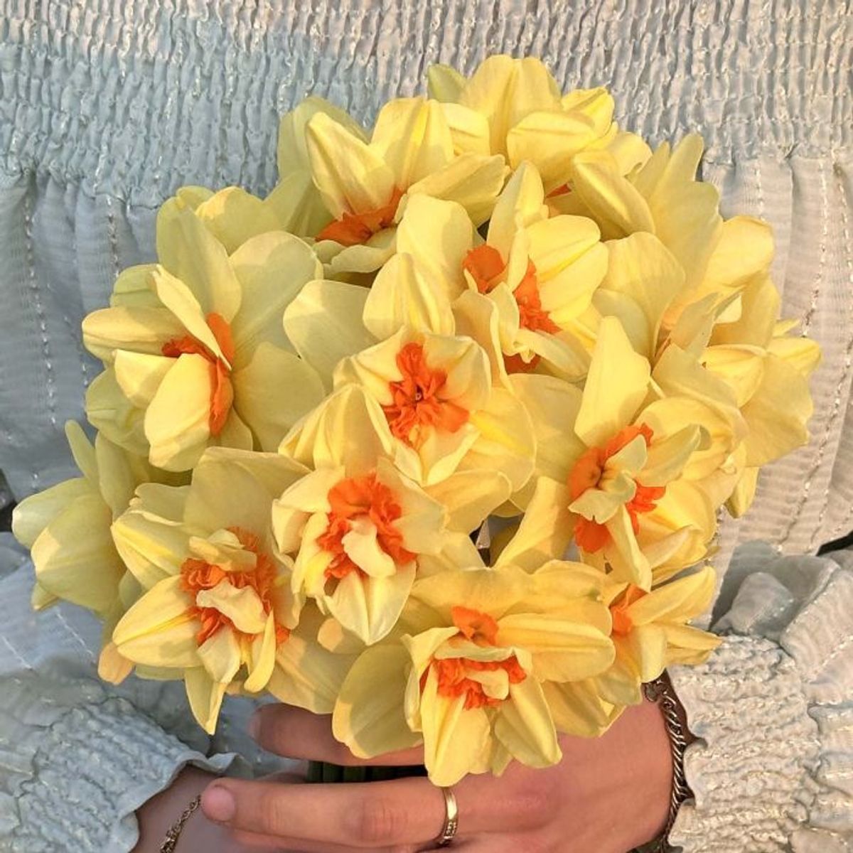 Påskelilje 'Double Fashion' - 10 stk