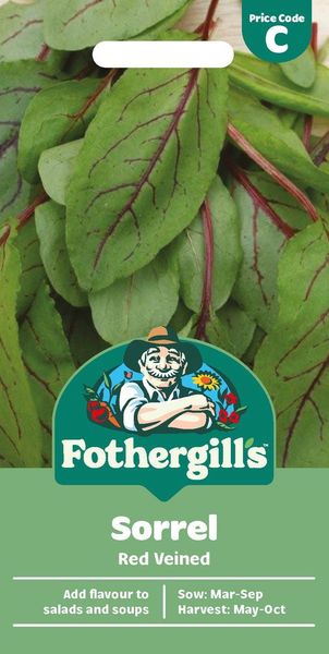 Hovedbilde Syre 'Red Veined' - Rumex sanguineus