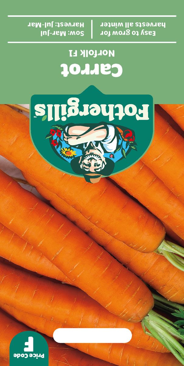 Gulrot 'Norfolk' - Daucus carota