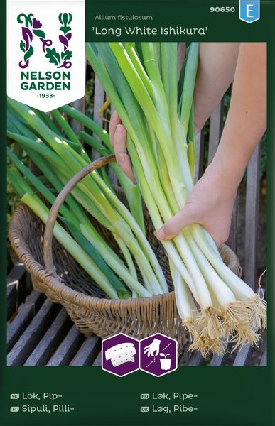 Hovedbilde Vårløk 'Long White Ishikura', frøbånd - Allium fistulosum