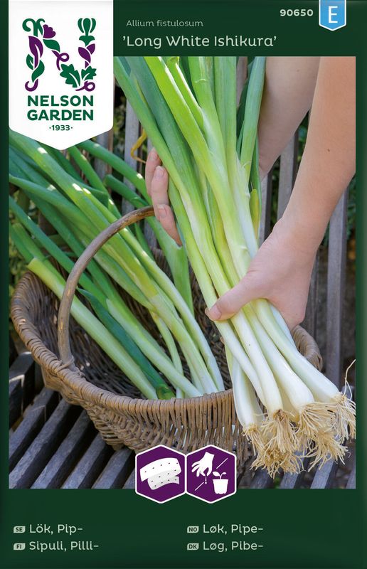 Vårløk 'Long White Ishikura', frøbånd - Allium fistulosum
