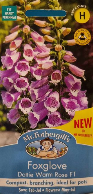 Hovedbilde Revebjelle 'Dottie Warm Rose' F1 - Digitalis purpurea