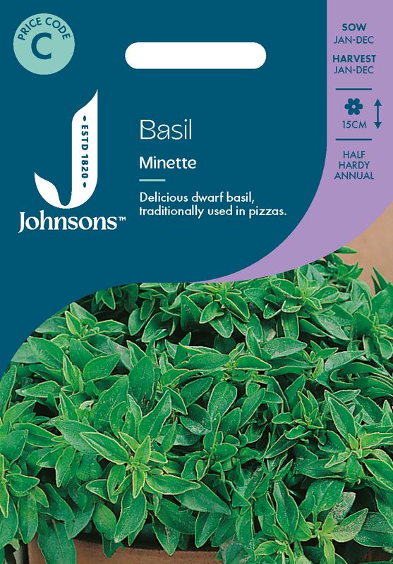 Basilikum 'Minette' - Ocimum basilicum 