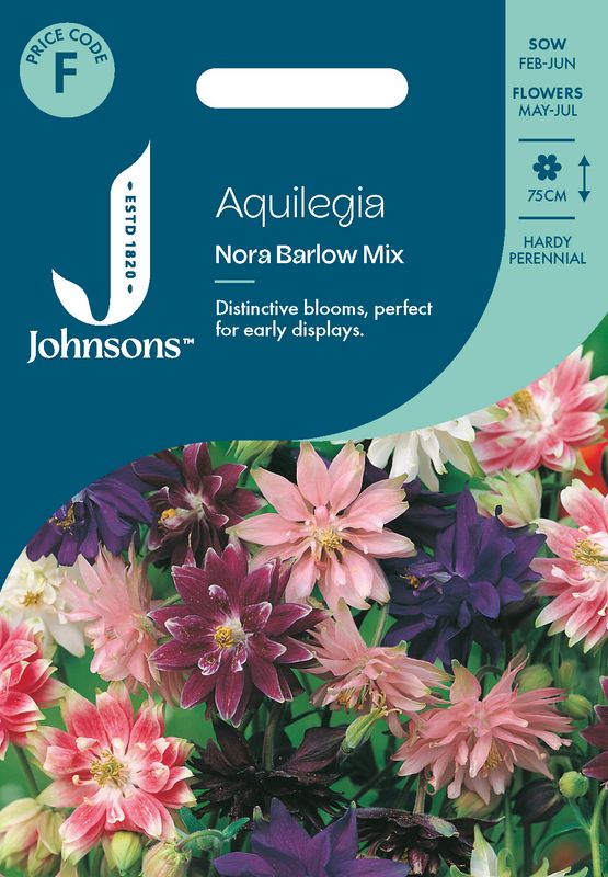 Akeleie 'Nora Barlow Mixed’ - Aquilegia vulgaris 