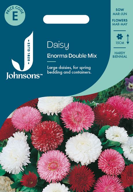 Hovedbilde Tusenfryd 'Enorma Double Mixed' - Bellis perennis 