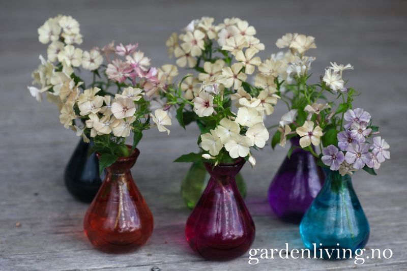 Juvelvase - turkis, 10 cm - 1stk