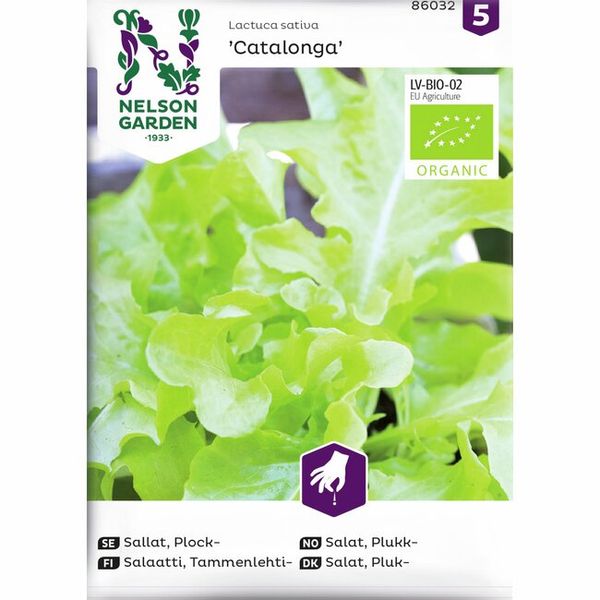 Hovedbilde Eikebladsalat 'Catalogna', organic - Lactuca sativa