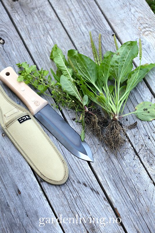 Niwaki, Hori Hori - hagekniv med slire