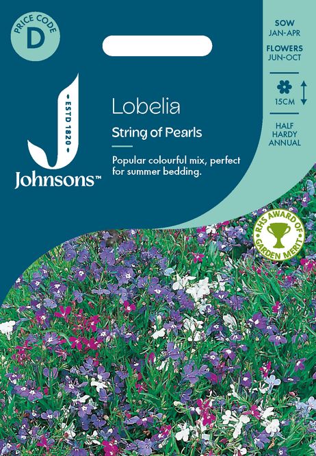 Hovedbilde Lobelia 'String of Pearls’ - Kantlobelia