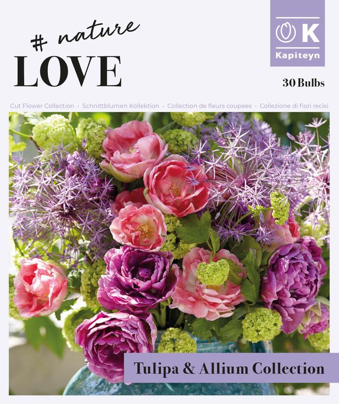 Bukett kolleksjon, Bouquet Tulipa and Allium - 25 stk
