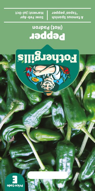 Chilipepper 'Padron' - Capsicum annuum 