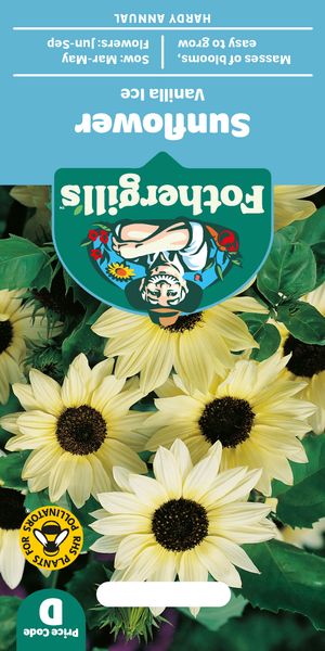 Hovedbilde Solsikke 'Vanilla Ice' - Helianthus annuus