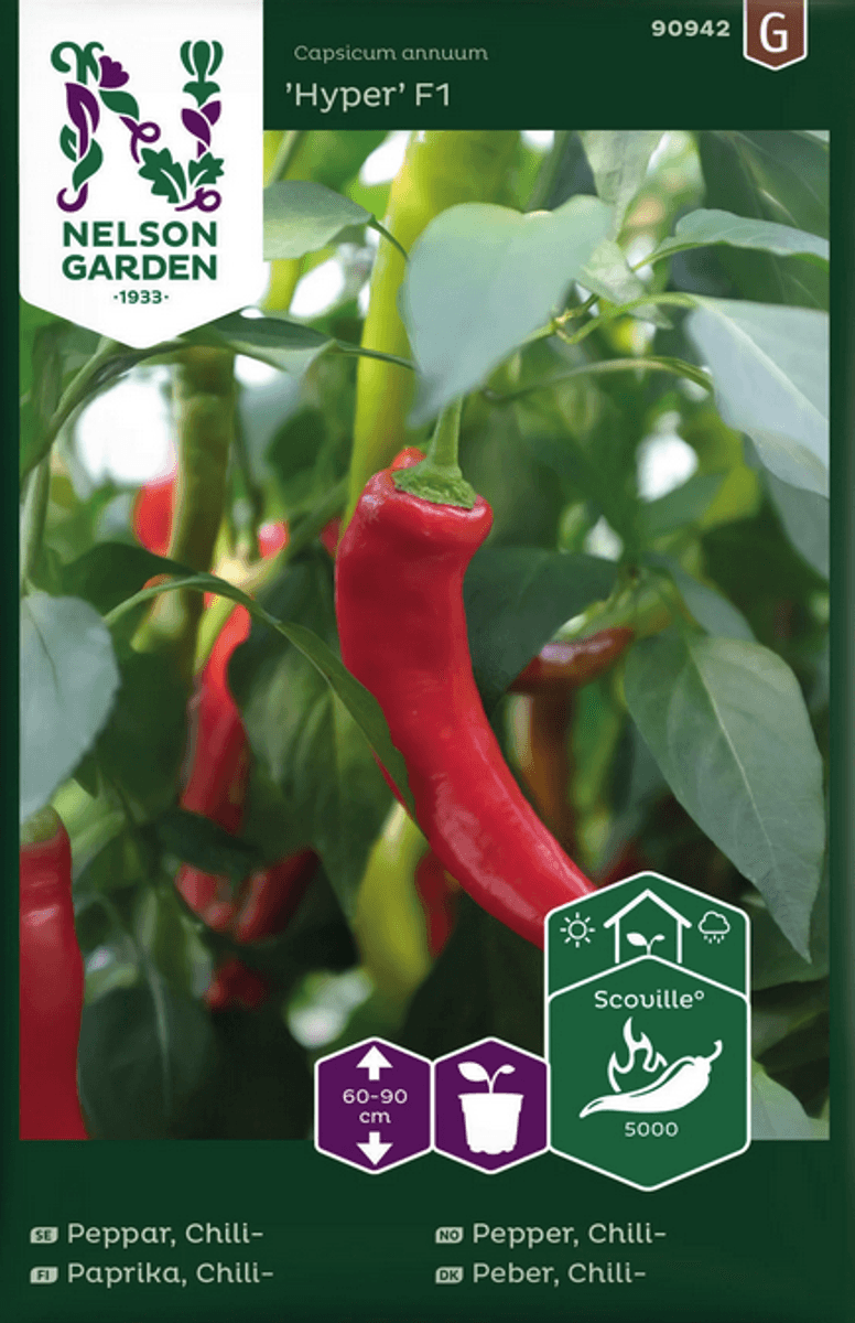 Chilipepper 'Hyper' F1 - Capsicum annuum