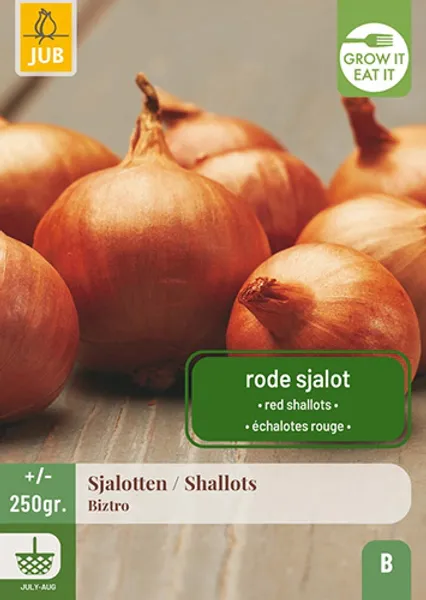 Hovedbilde Setteløk, Sjalott- 'Biztro', 250 g